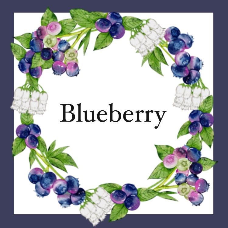 Blueberry sticker | Webudding