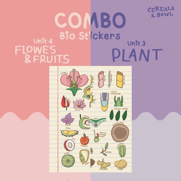Biology Digital Stickers (COMBO Unit 3+4) | 위버딩